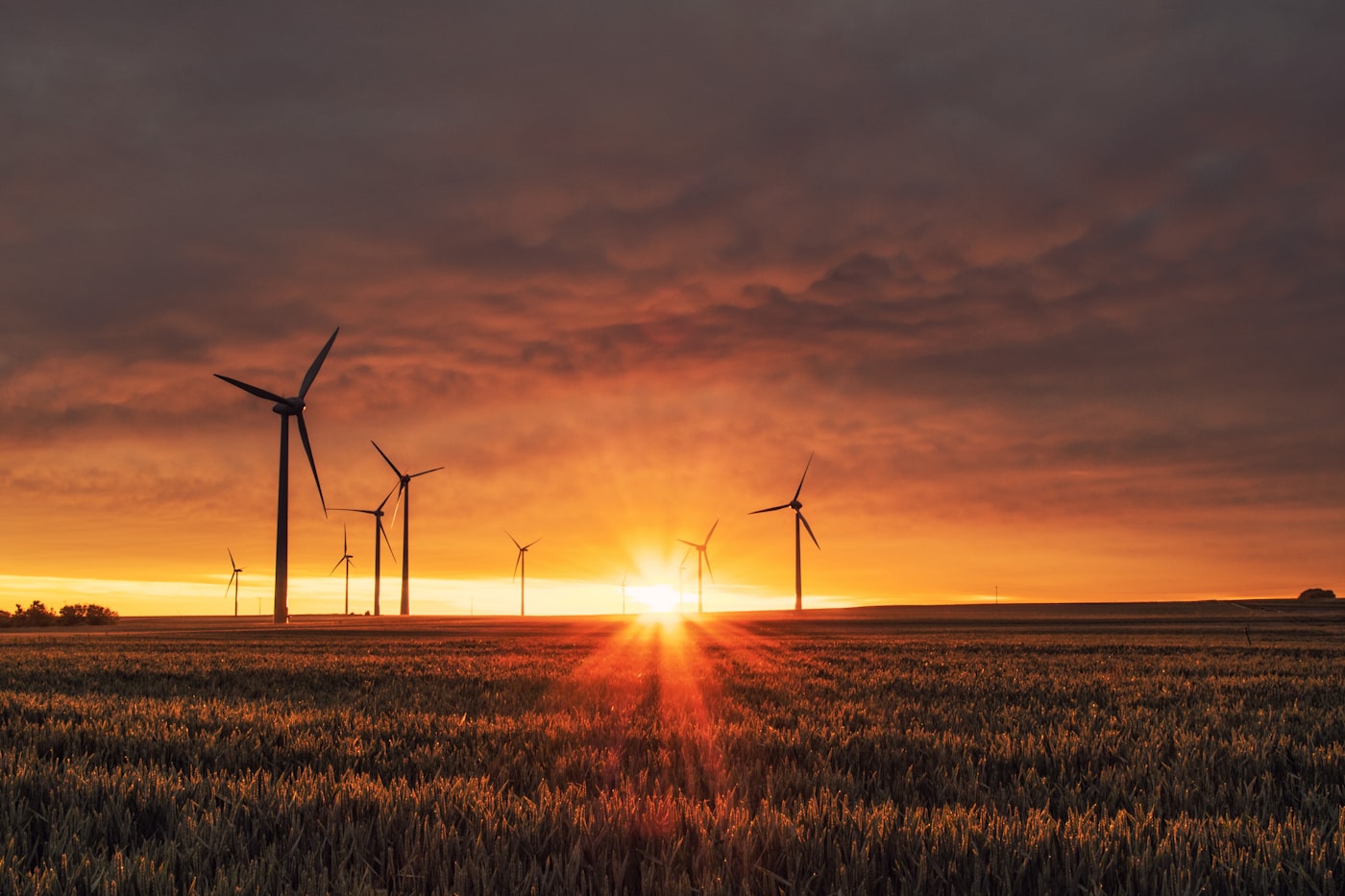 Pole Utilisation Assessments